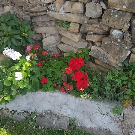 Ca De Isidoru